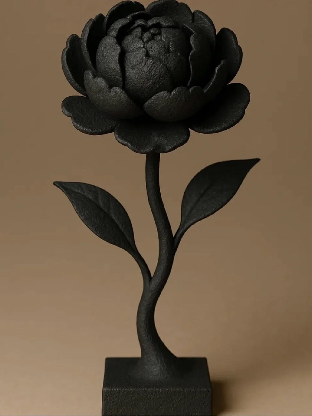 N/A elegant black